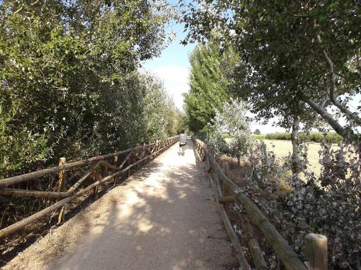 Casetes Del Delta Sant Jaume d'Enveja Exteriör bild
